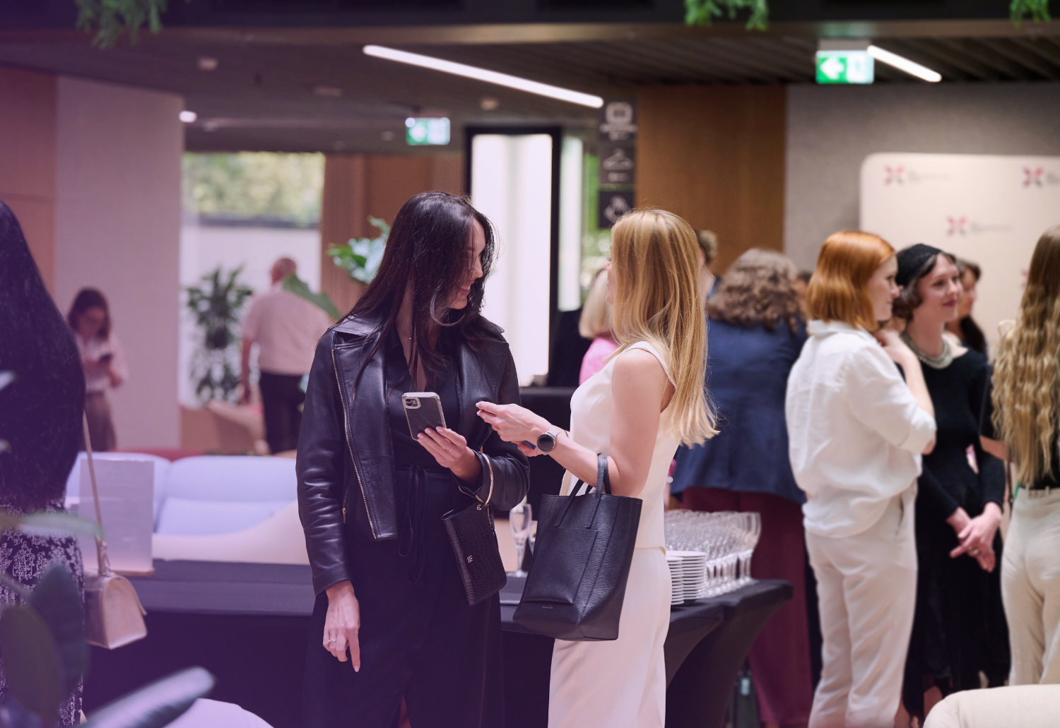 Projekt bez nazwy (2)